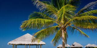 winter-honeymoon-destinations-maldives